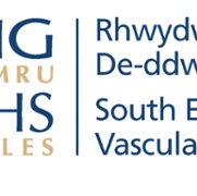 South East Wales Vascular Network logo.jpg