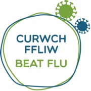Beat Flu logo 2019 2020.jpg