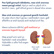 A5 Leaflet - Digital Welsh.png