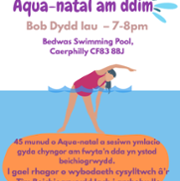 Bedwas_Aqua_Natal_Welsh.png