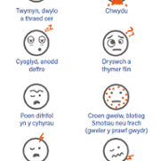 welsh meningitis symptoms.png