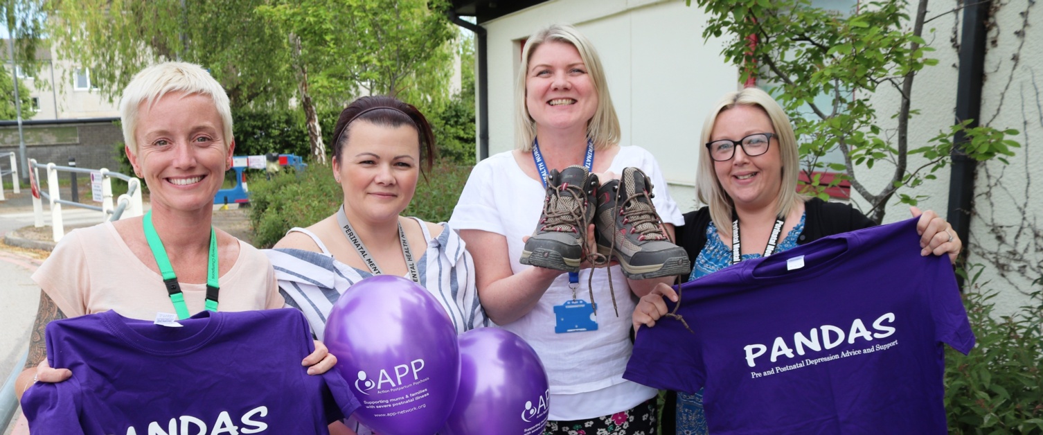NHS team to scale Snowdon for new mums mental health