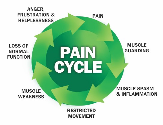 Pain & Activity: How Movement Helps Pain