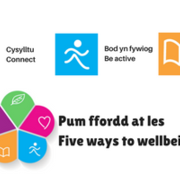 5 Ways to Wellbeing - Email Signature1.png