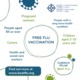 Which groups are eligible for the Flu Vaccine 2020-21