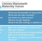 Maternity Voices