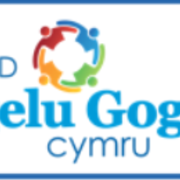 North Wales Safeguarding Board