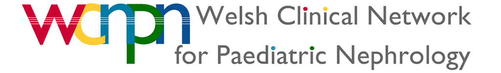 Welsh Clinical Network For Paediatric Nephrology Logo.