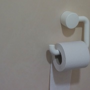 Canva - White Toilet Paper.jpg