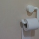 Toilet paper on a holder