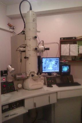 Electron Microscopy tool