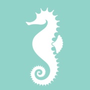 Seahorse Icon.jpg
