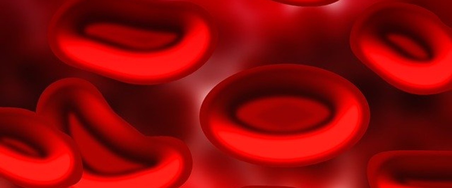 Blood cells