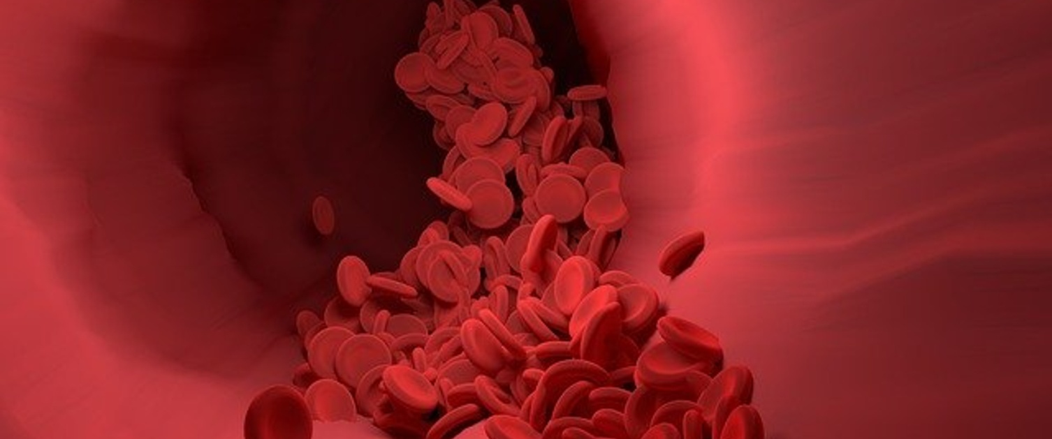 Red blood cells