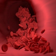 red-blood-cell-4256710_640.jpg