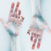 Canva - Photo of Hands with blue veins.jpg
