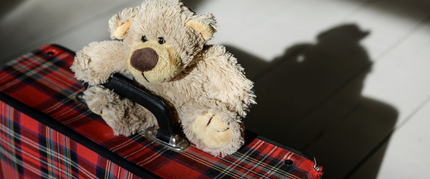 Teddy bear on a suitcase