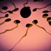 sperm-956482.jpg