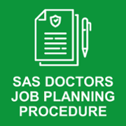 SAS Job Plan.png