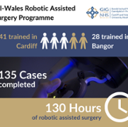 All-Wales Robotics Infographic.png