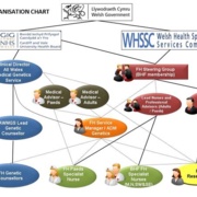 FH Organisation Chart (Small).jpg