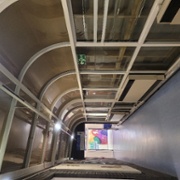Mural at children's hospital (4).jpg