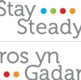 Stay Steady Logo.