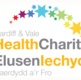 CAV Health Charity Logo