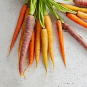 Bunch of carrots on a kitchen counter