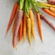 Bunch of carrots on a kitchen counter
