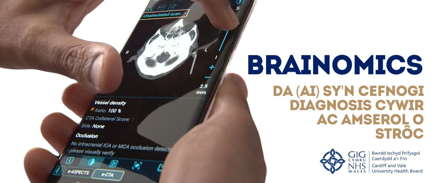 Brainomics - DA (AI) sy