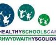 healthy schools cardiff.JPG