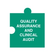 Quality Assurance Audit 1.jpg