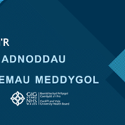 Welsh Welcome Banner MRS.png