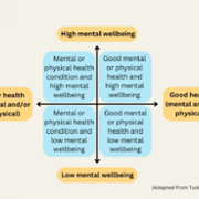 mental health webpage pic 1