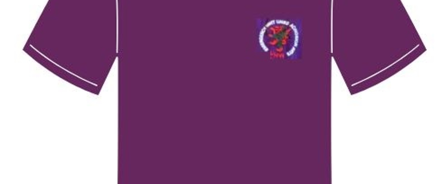 A graphic of a purple coloured t-shirt, a consultant