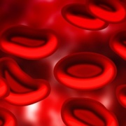 blood-75301_640.jpg