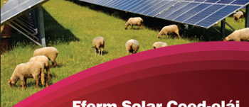 Wales Climate Week - Solar Panels and Sheep