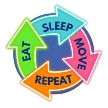Sleep Move EAT-SLEEP-MOVE-REPEAT.jpg - Cwm Taf Morgannwg University Health Board