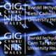Cwm Taf Morgannwg University Health Board Banner