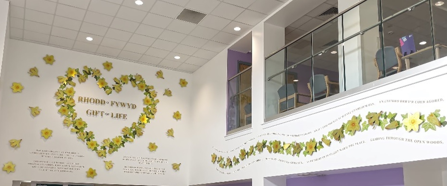 Organ Donation Artwork