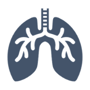 Lung Icon - Cwm Taf Morgannwg University Health Board