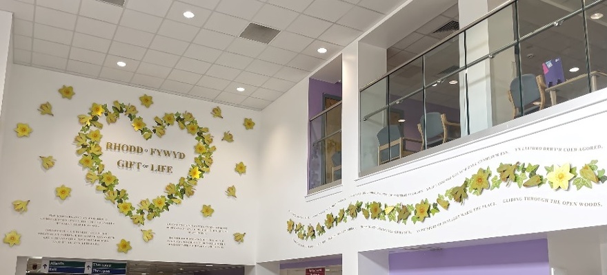 Organ Donation Artwork