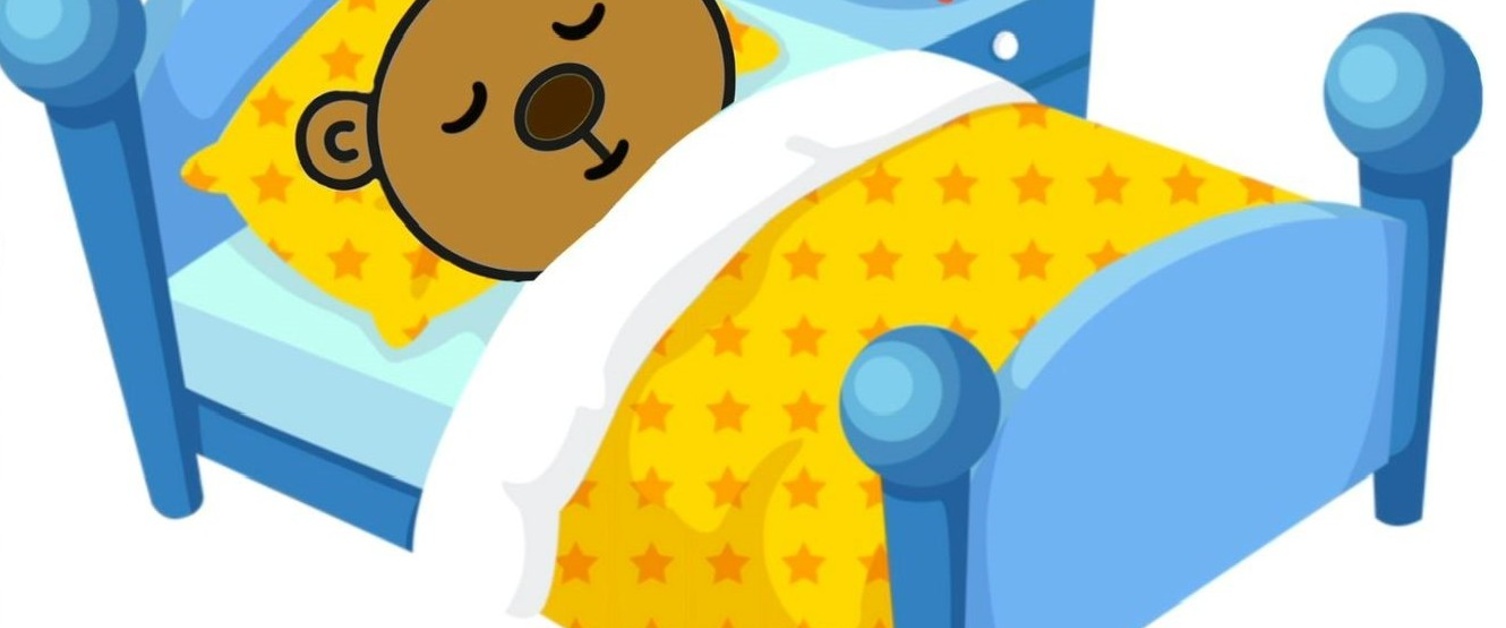 PIPYN Bear Sleeping