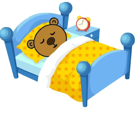 PIPYN Bear Sleeping