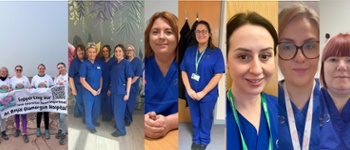 Clinical Nurse Specialists