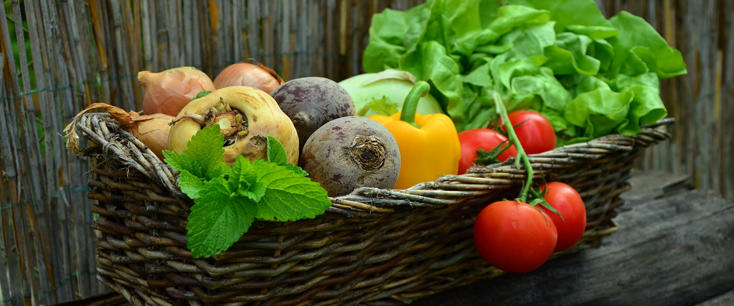 basket of vegetables