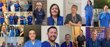 a collage of nurses