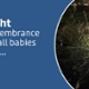 Wave of Light Service of remembrance in memory of all babies gone too soon....