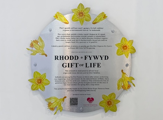 Organ Donation Artwork